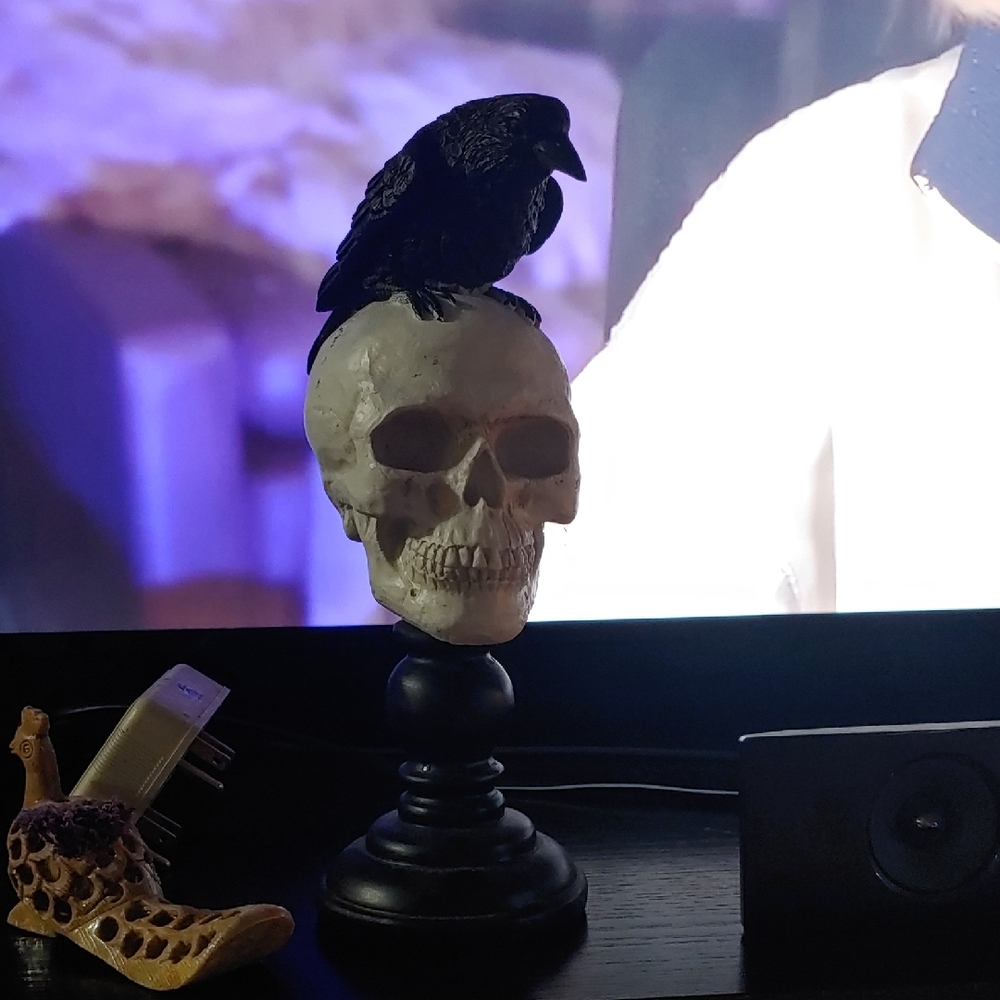 Decorative Black Raven on Skull Figurine